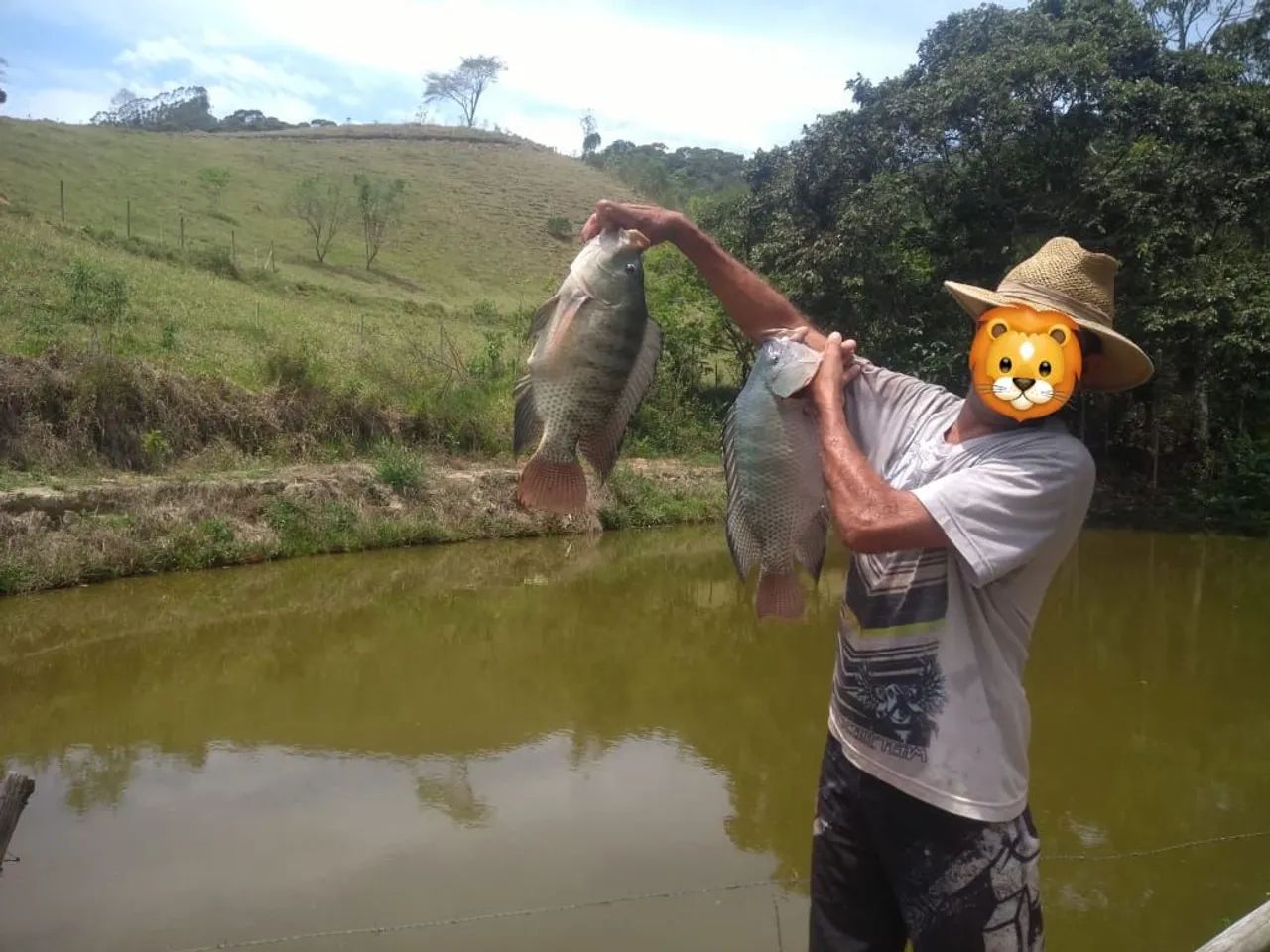 Foto - Domingos Martins - Paraju