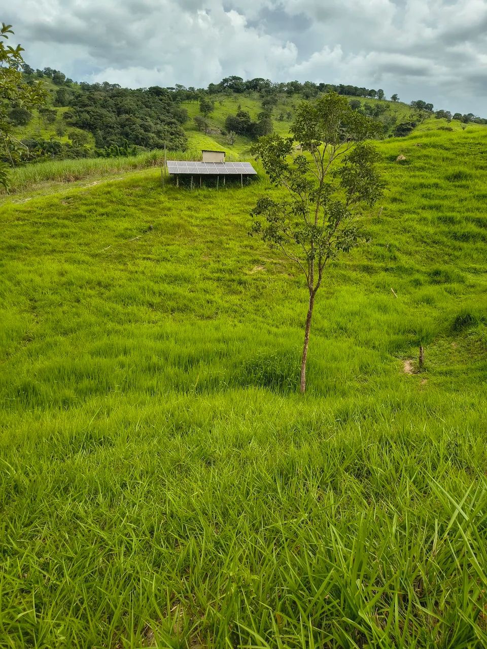Foto - Itaguara - 