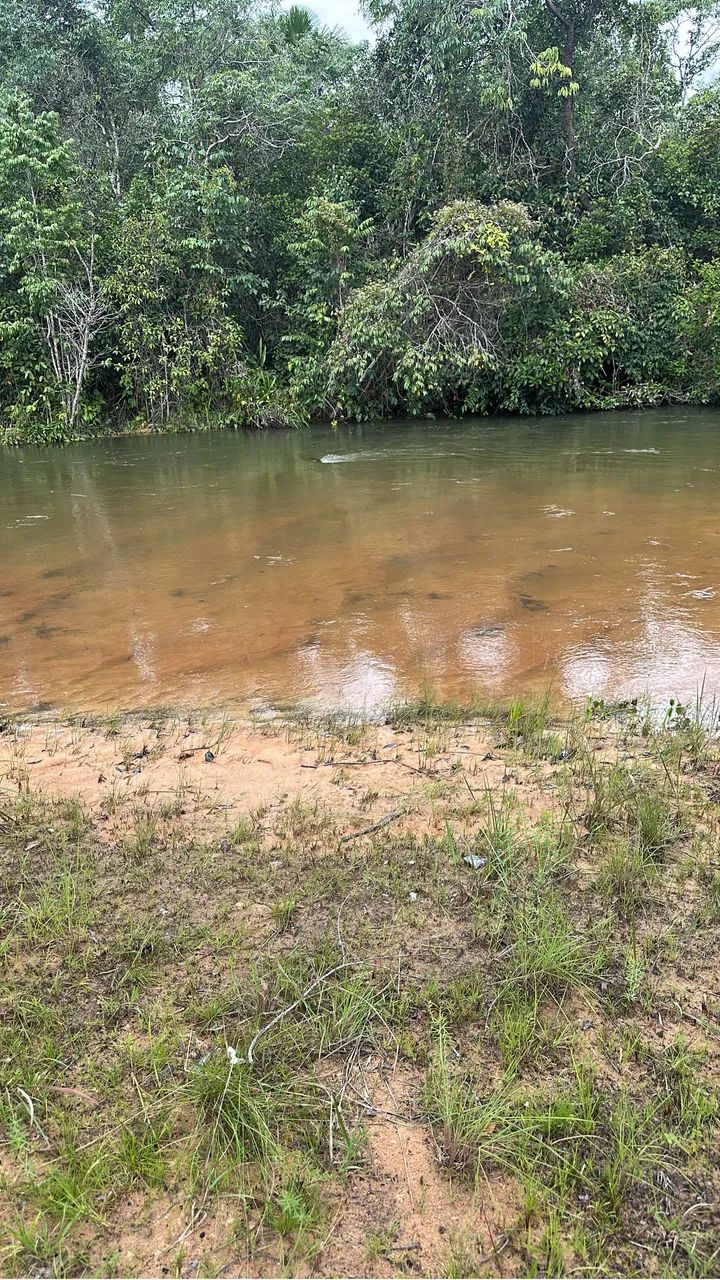 Vendo Chácara  - Foto 3