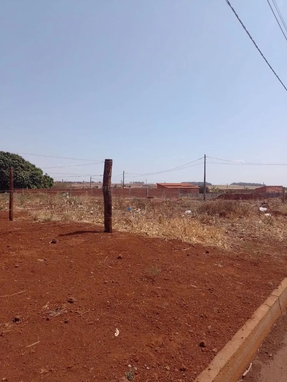 Lote - Foto 4