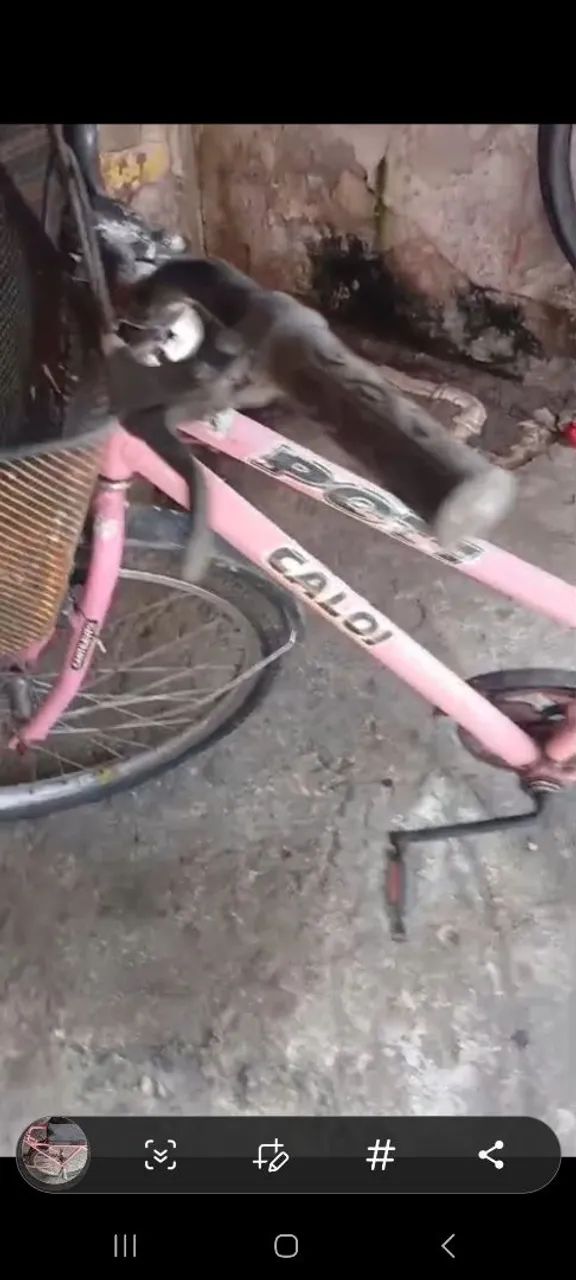 Bicicleta caloi poty rosa  - Foto 3