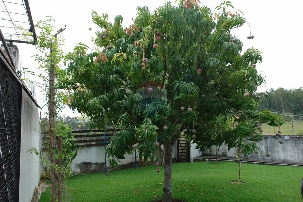 Excelente Propriedade em Localização Estratégica - Foto 3