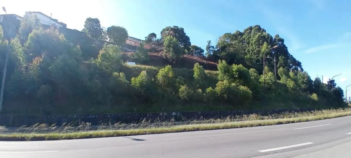 CAXIAS DO SUL - Terreno Padrão - CINQUENTENÁRIO - Foto 8