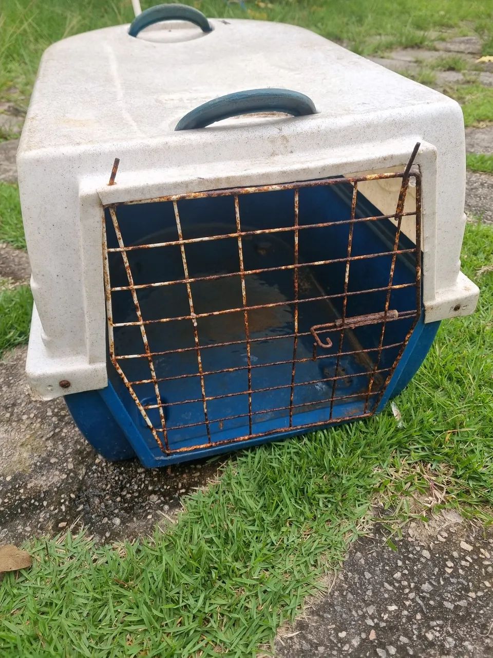 Caixa de transporte para pets