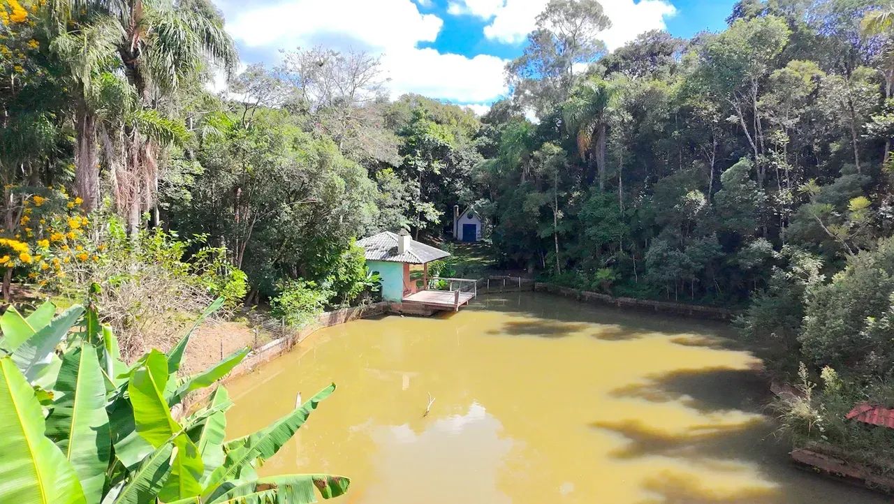 CHÁCARA CAMPO LARGO - Foto 4