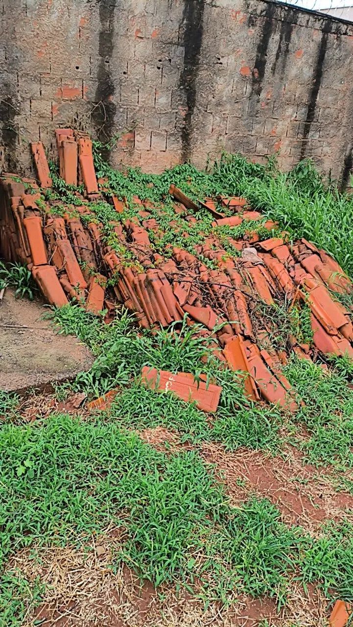 Telhas Plan Usadas - Foto 2