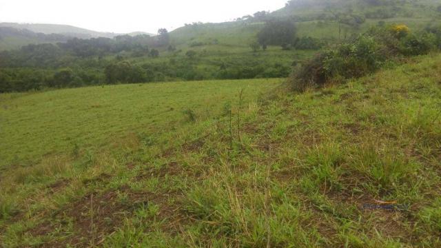 Fazenda à venda, 2541000 m² por r$ 3.675.000 - fazenda velha - nova laranjeiras/pr - Foto 12