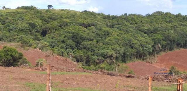 Fazenda à venda, 968000 m² por r$ 2.000.000,00 - fazenda velha - nova laranjeiras/pr - Foto 18