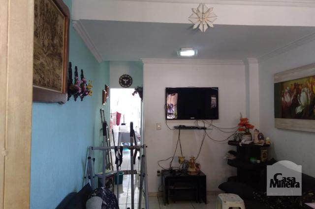Casa à venda com 2 dormitórios em Alto caiçaras, Belo horizonte cod:245529 - Foto 4