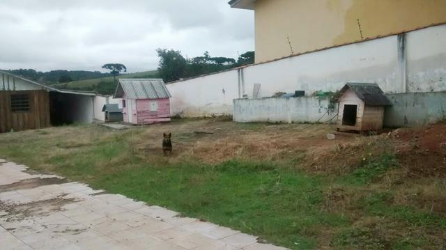 Terreno, Jardim Nossa Senhora das Graças, Campina Grande do Sul/PR - Foto 3