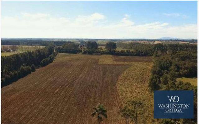Área à venda, 20135 m² por r$ 775.197 - miringuava - são josé dos pinhais/pr - Foto 4
