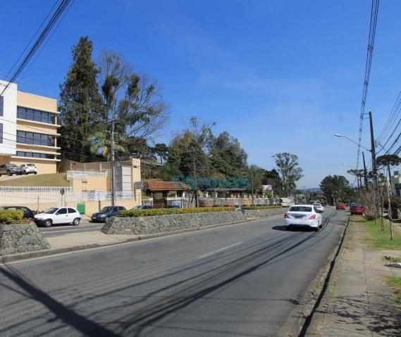 Terreno comercial na avenida manoel ribas - Foto 5