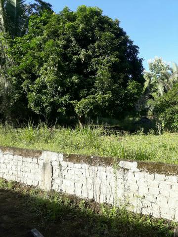 Chacara com 6 hectares proximo de águas quente. - Foto 5