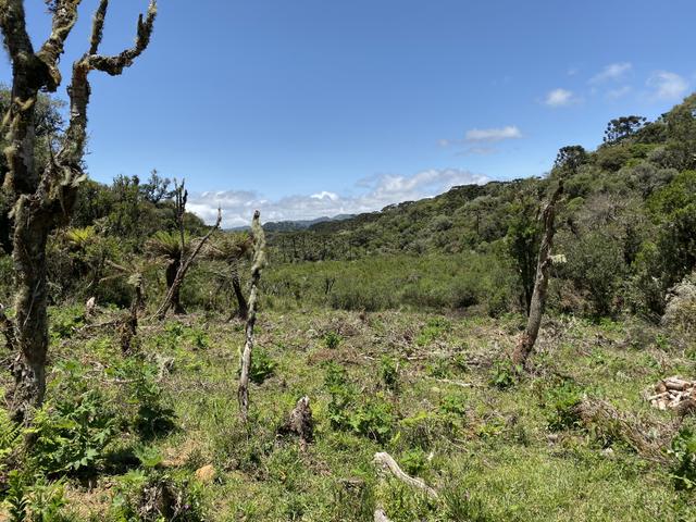 Terreno Urubici/ Chácara Urubici - Foto 5