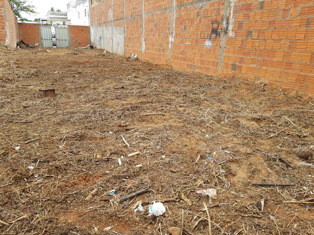 Vendo Terreno Próximo a Cajuína! - Foto 10
