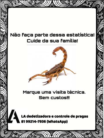 Dedetização e controle de pragas - Foto 5