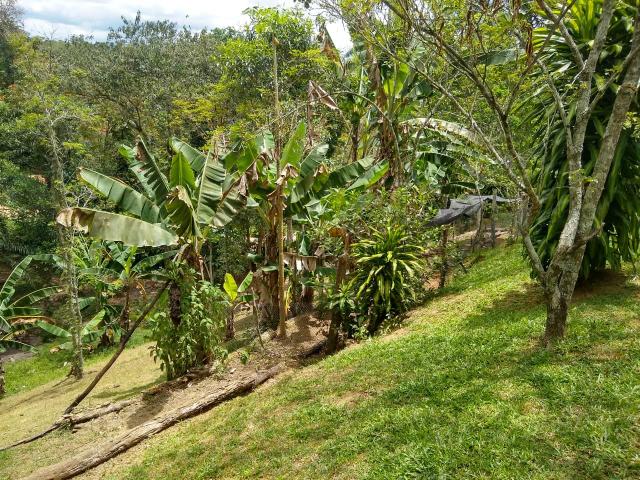 Linda chácara em Agro Brasil- Cachoeiras de Macacu RJ 116 oportunidade!!!! - Foto 9