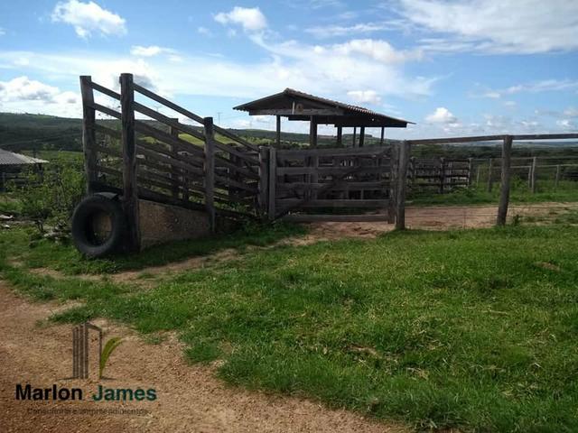 Fazenda em Vianópolis-Go - Foto 2