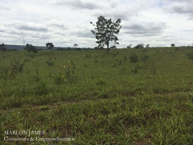 Fazenda no Município de Ipameri-Go - Foto 8