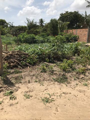 Lote muito barato na Estrada da maioba cohatrac - parcelados
