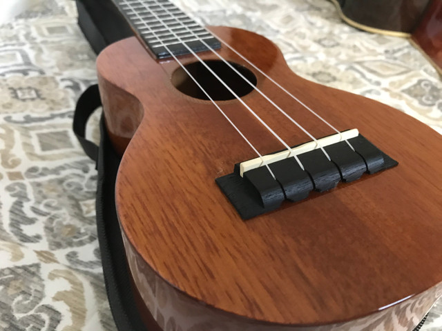Ukulele Mahalo luxo, com capa