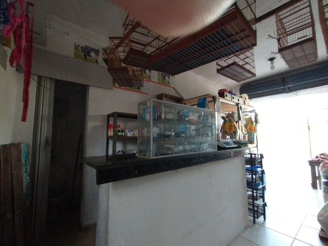 Repassar loja de ração - Foto 3