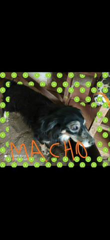 Doando - Foto 2