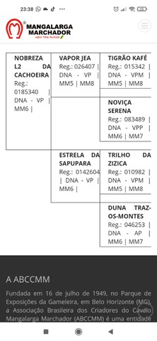 Potro registrado