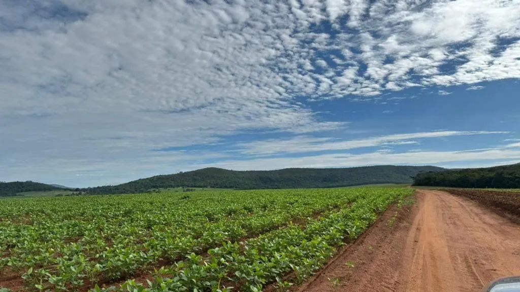 Fazenda 60 km de Anápolis  - Foto 3
