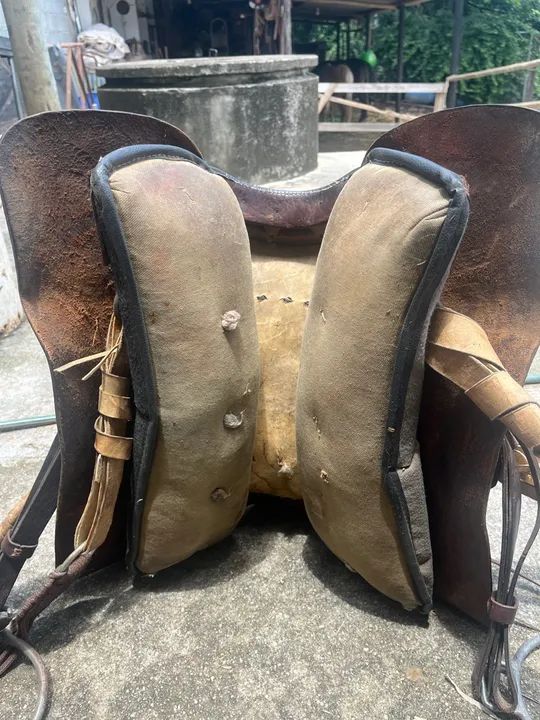 Arreio de cabeça  - Foto 2