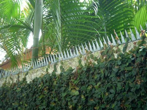 lança protetora para muros residenciais e prediais - promoção !!! - Foto 4