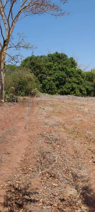 Sítio com 22.800m2 em Bady Bassitt  - Foto 8