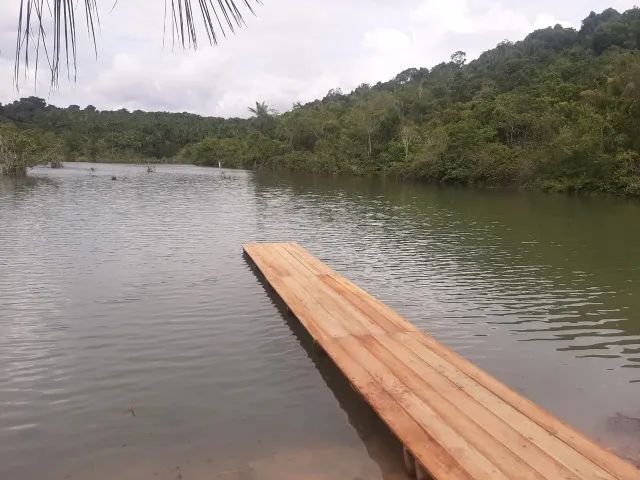 Fazenda 1, lote Plaino, desmatado , proximo da guarita - Foto 2