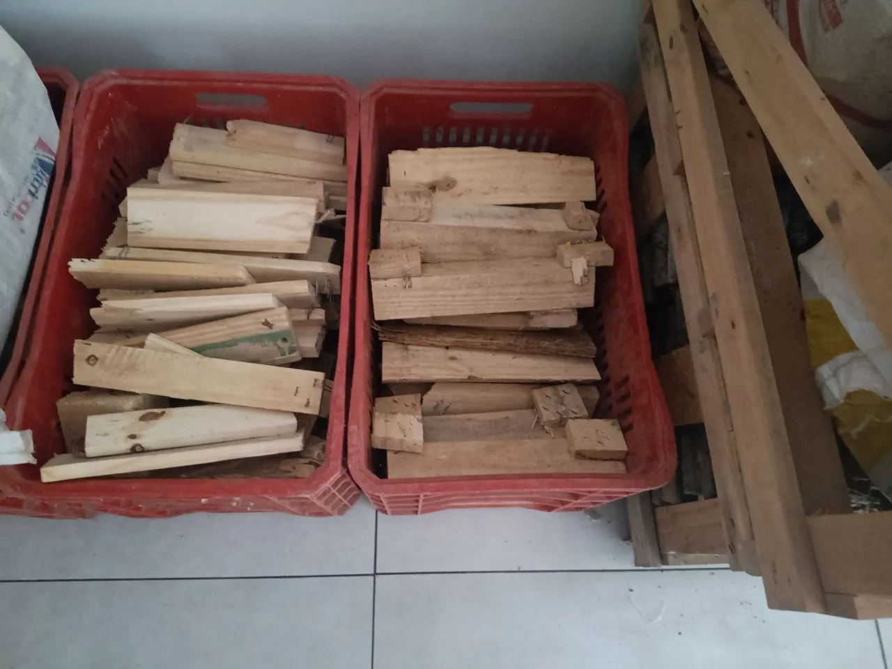 Lenha de pinus