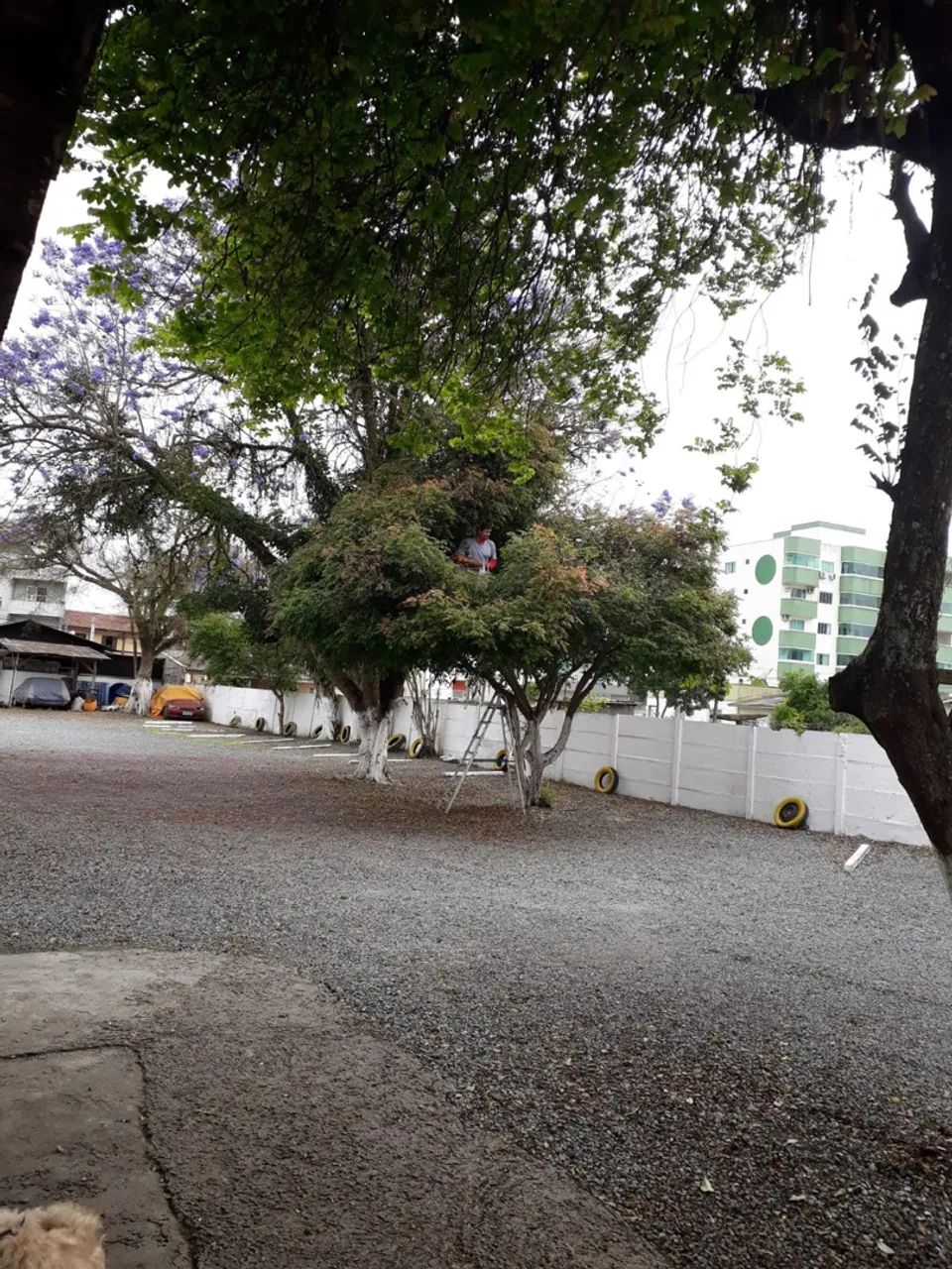 Estacionamento Marcondes  - Foto 4