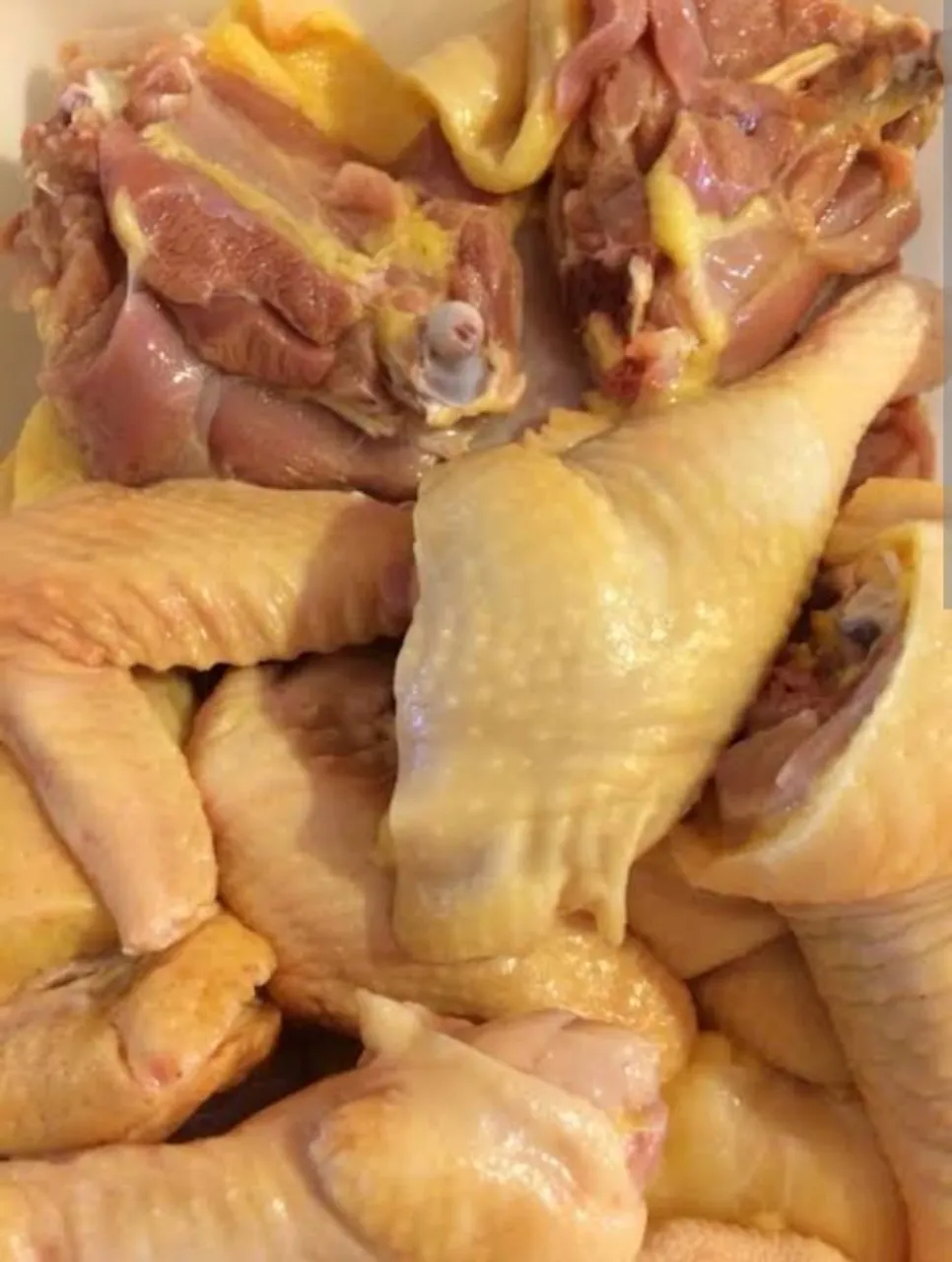 Galinha caipira abatida