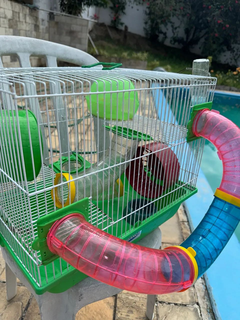 Gaiola para Hamster ou Porquinho da Índia - Foto 5