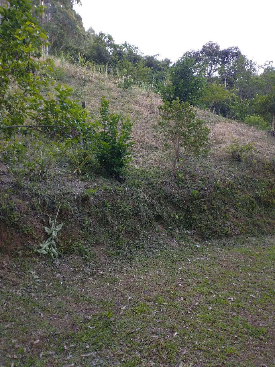 Sitio em são Bonifácio - 20,000 metros - Foto 7