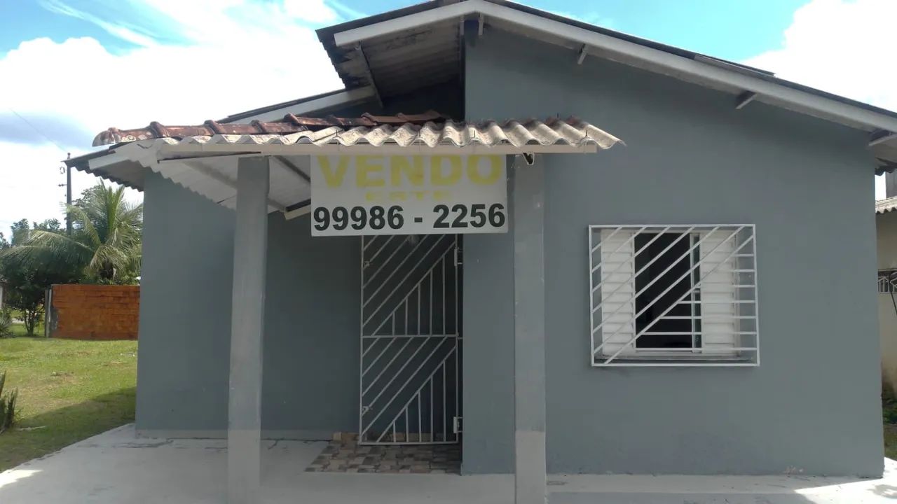 Foto - Manaus - Raiz