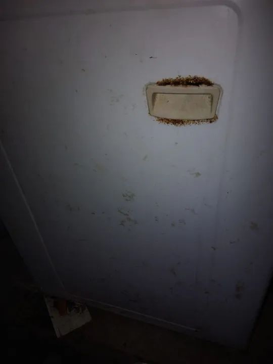 Máquina de Lavar Roupa Consul 11 kilos