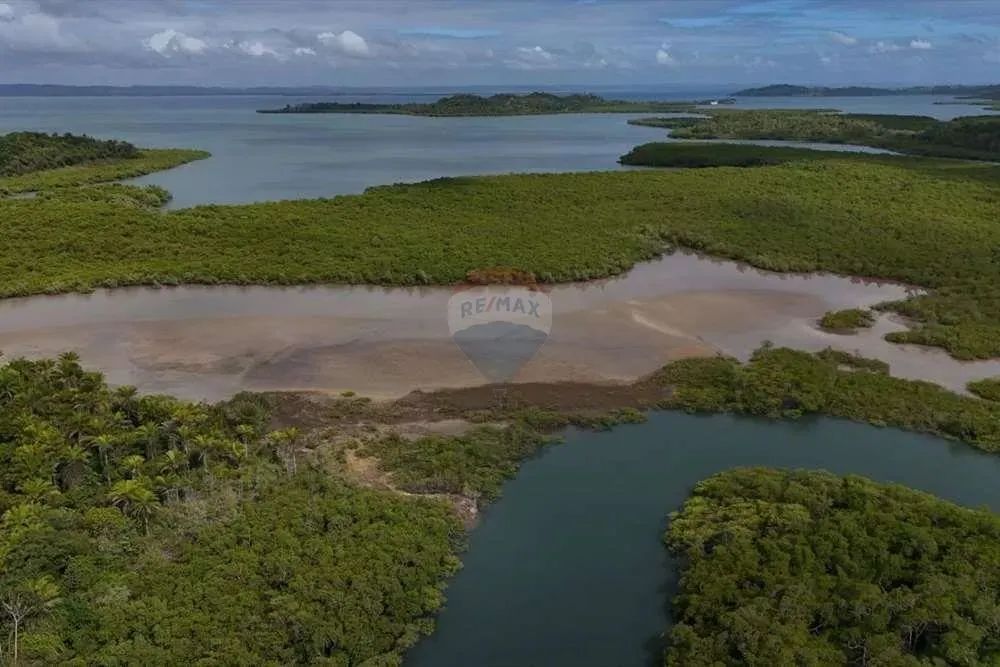 ILHA NA CONTRACOSTA DA ILHA DE ITAPARICA - Foto 4