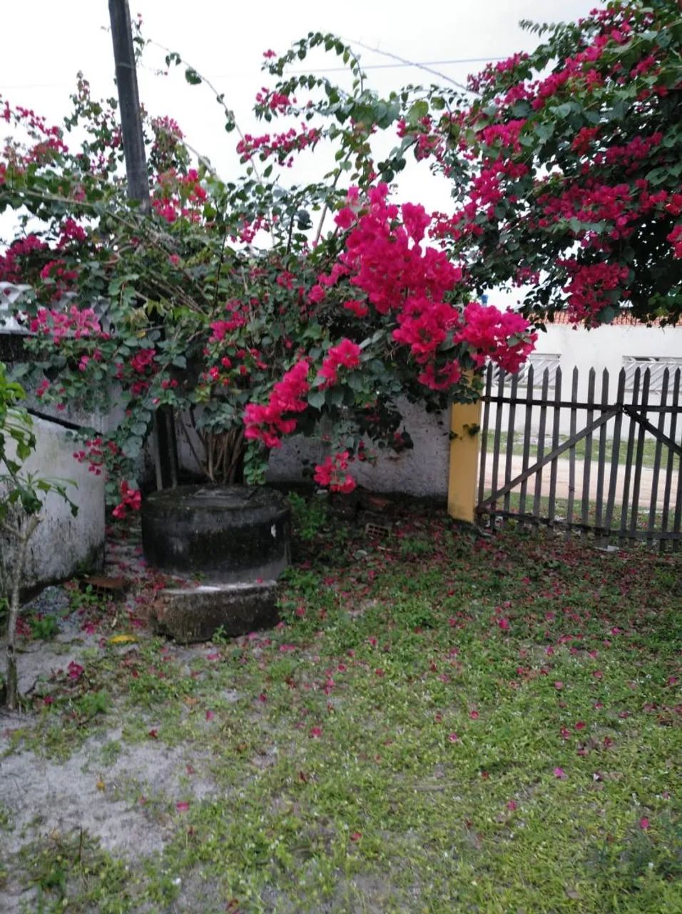 Foto - Camaragibe - Santa Tereza