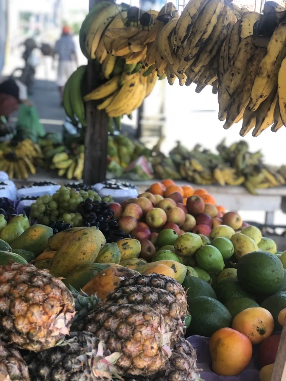 Repasse Comércio de Frutas e Verduras com tudo e em pleno funcionamento