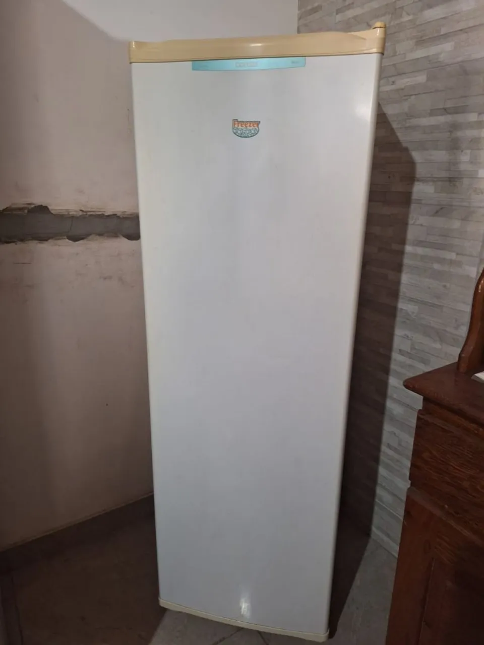 Freezer vertical consul