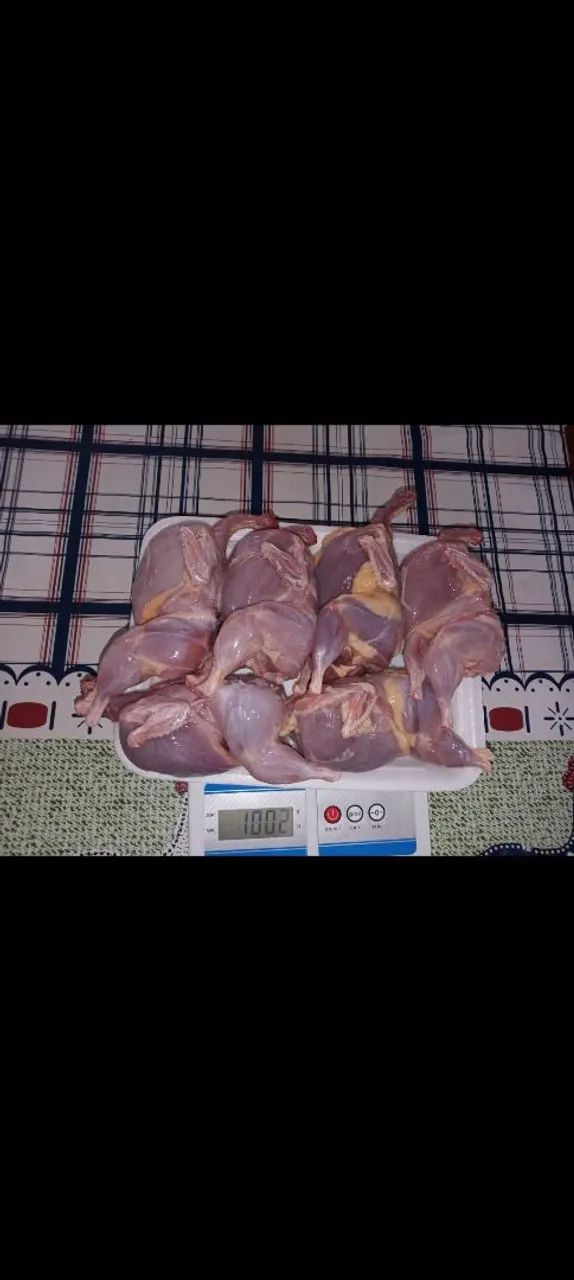 Codornas frescas para consumo - Foto 3