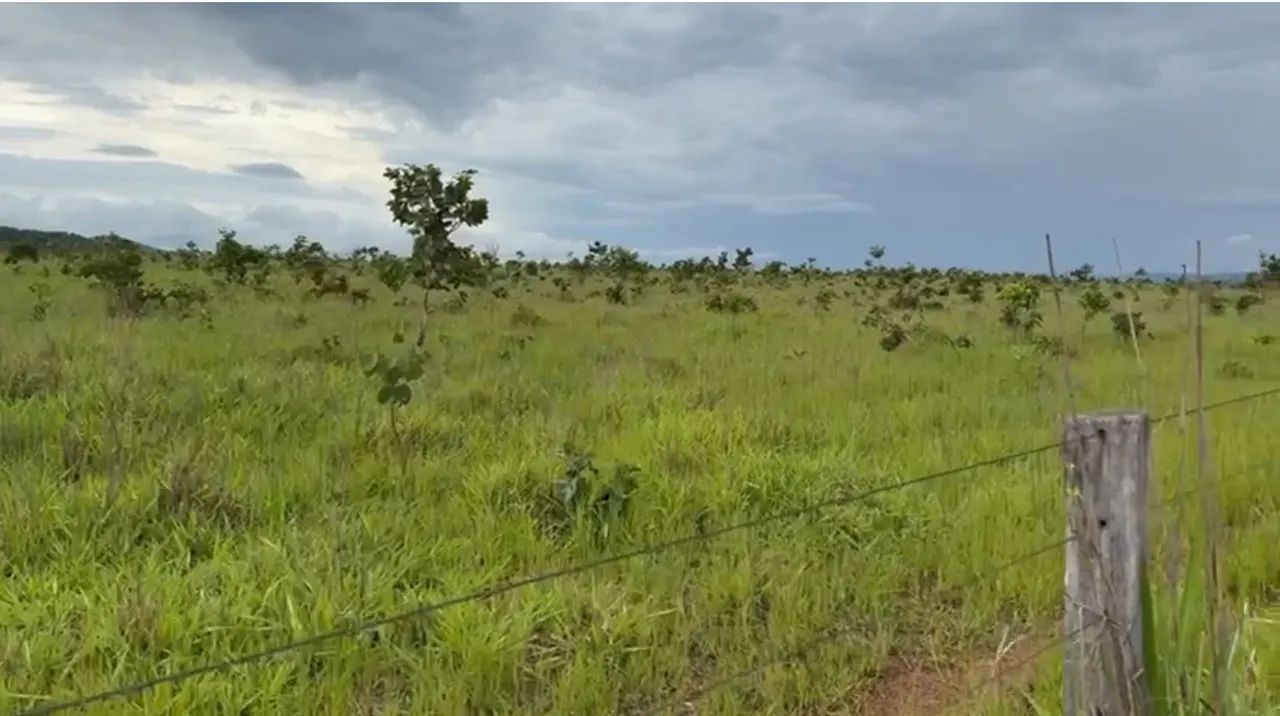 Fazenda com  745 hectares - Foto 3