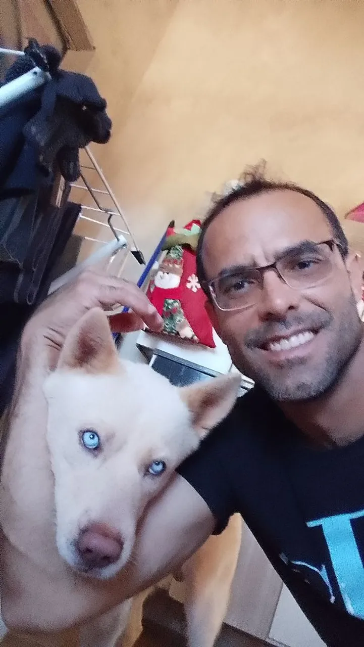 Husky Siberiano de Olhos Azuis