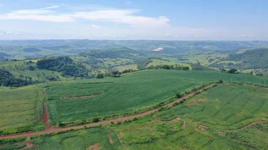 Fazenda lavoura/pecuária - Foto 4