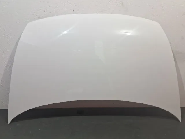 Capô Honda Civic Pintado 2007/2011