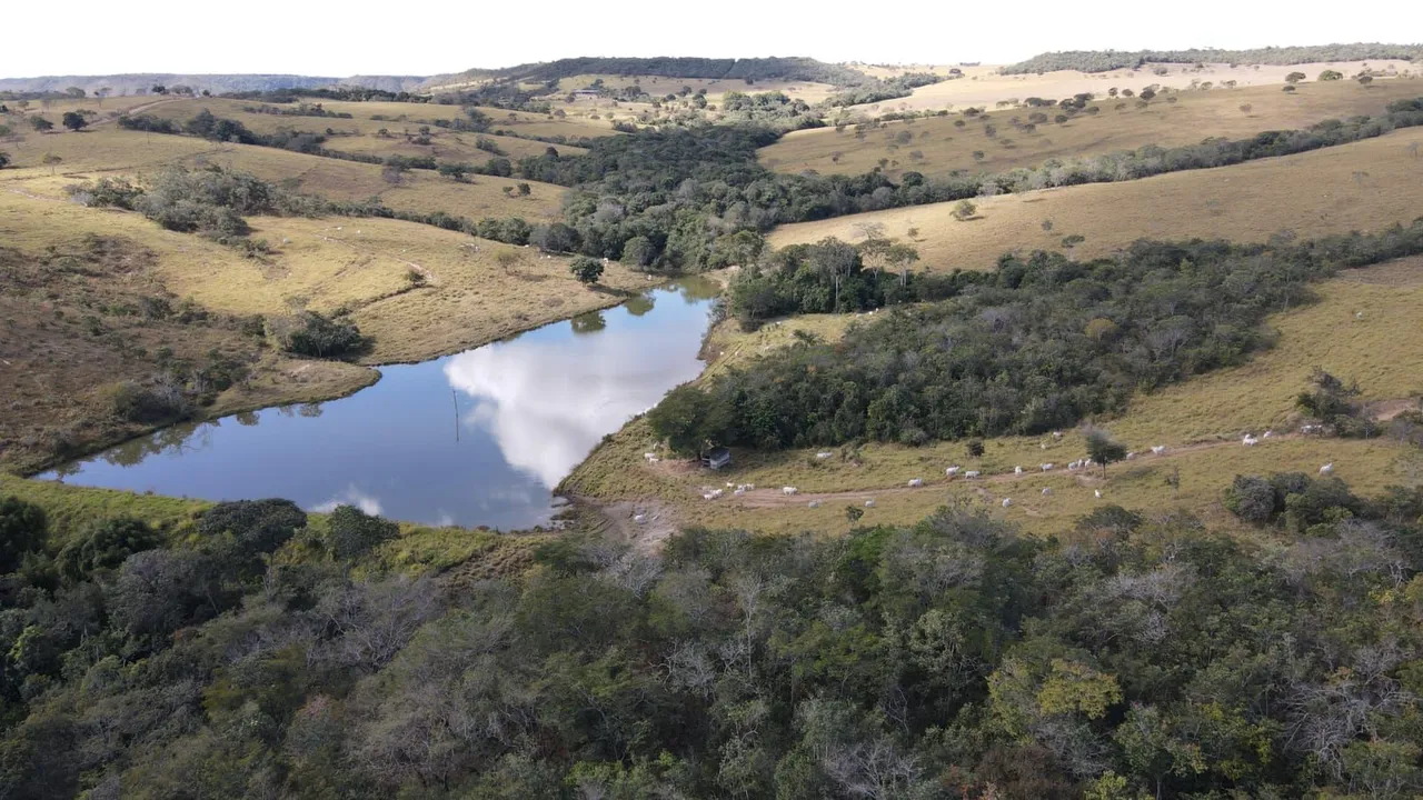 Fazenda 1.700 Hectares dupla aptidão Município Luziânia Goiás